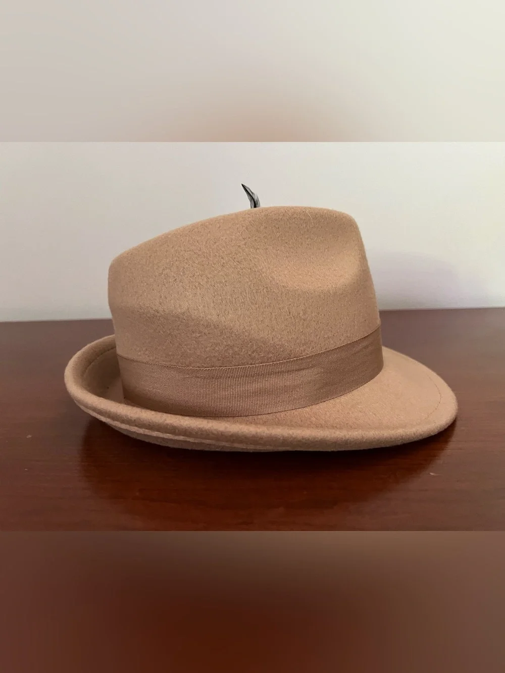 Tan Wool Felt look Fedora Hat with Decorative Feathers
